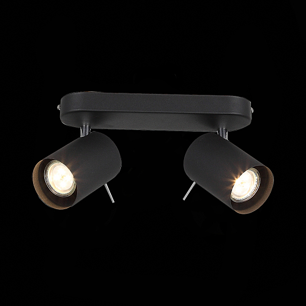 Светильник спот Fanale SL597.401.02