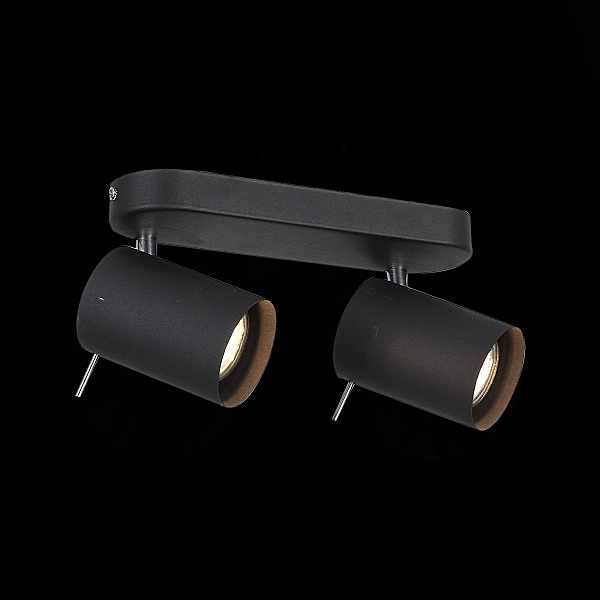 Светильник спот Fanale SL597.401.02