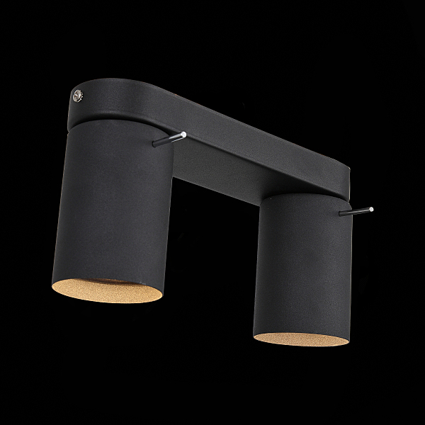 Светильник спот Fanale SL597.401.02