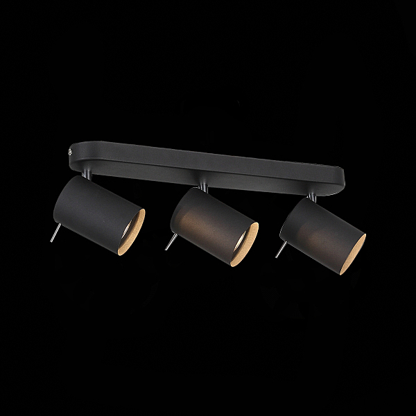 Светильник спот Fanale SL597.401.03