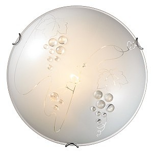 Настенно потолочный светильник Traube 104/CL