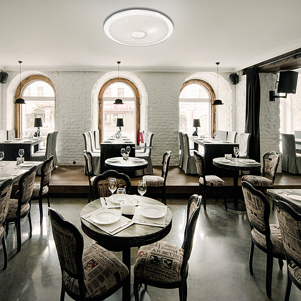 Настенно потолочный светильник Galeo 2054/ML