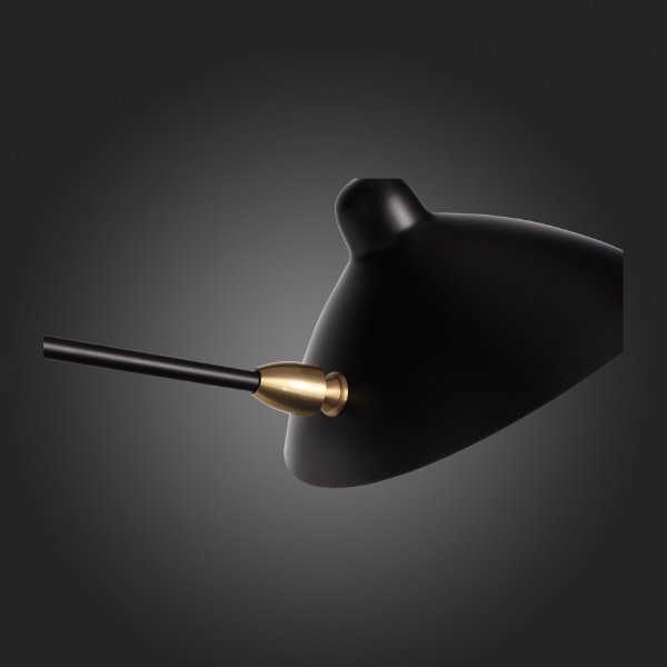 Настенное бра Spruzzo SL305.401.01