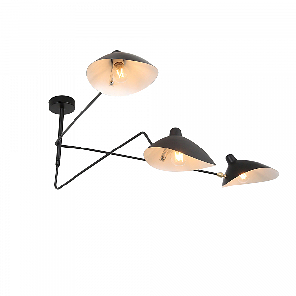 Потолочная люстра Spruzzo SL305.402.03