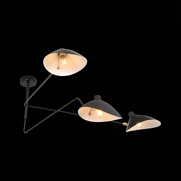 Потолочная люстра Spruzzo SL305.402.03