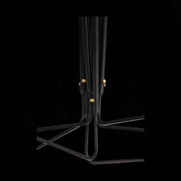 Потолочная люстра Spruzzo SL305.402.06