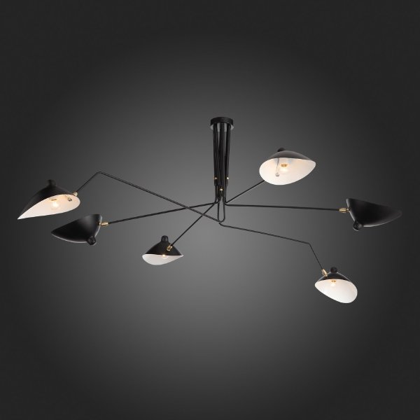 Потолочная люстра Spruzzo SL305.402.06