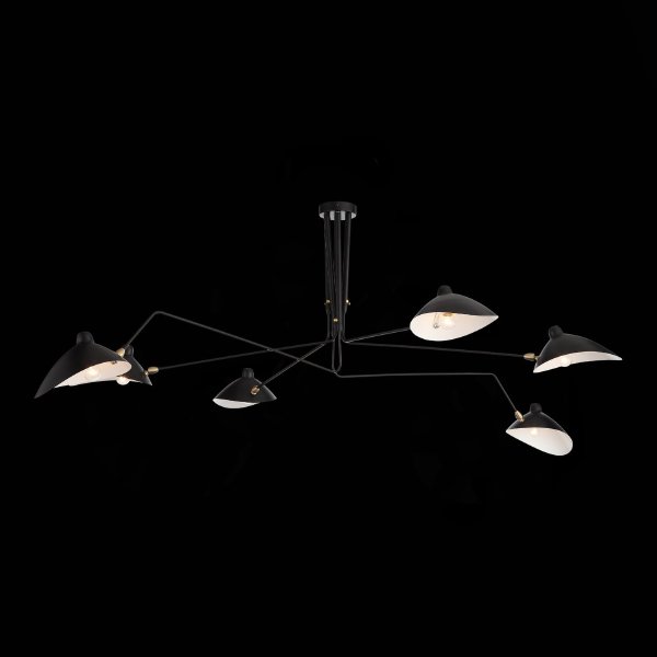 Потолочная люстра Spruzzo SL305.402.06