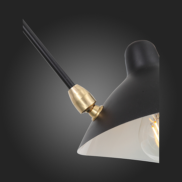 Потолочная люстра Spruzzo SL305.402.06