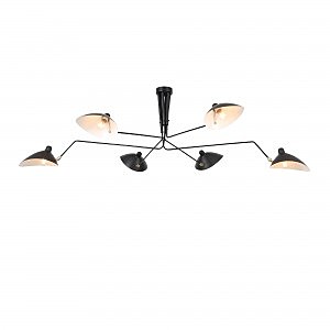 Потолочная люстра Spruzzo SL305.402.06