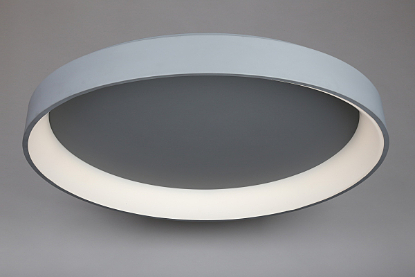 Светильник потолочный Ortueri OML-48517-144