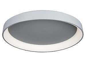 Светильник потолочный Ortueri OML-48517-144