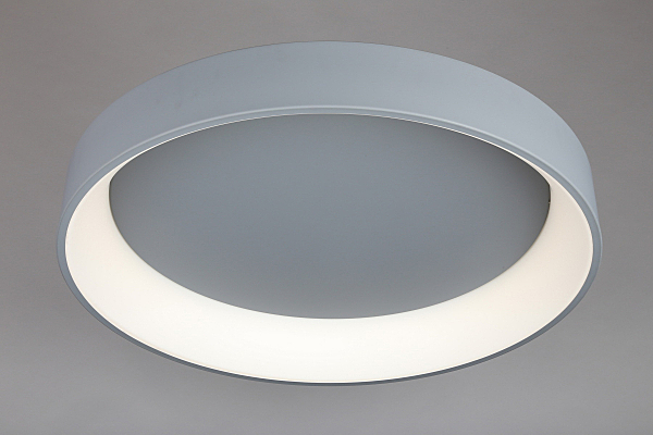 Светильник потолочный Ortueri OML-48517-96