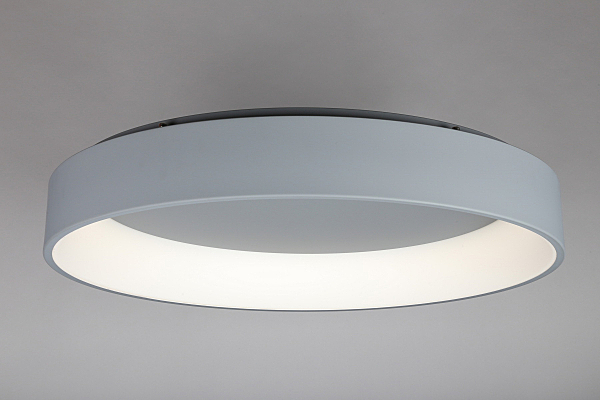 Светильник потолочный Ortueri OML-48517-96