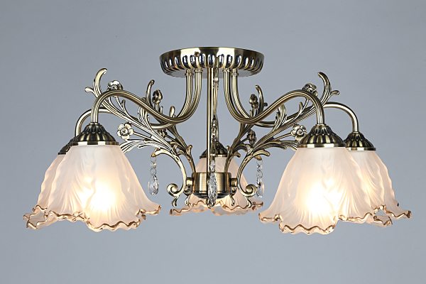 Потолочная люстра Petrara OML-54807-05