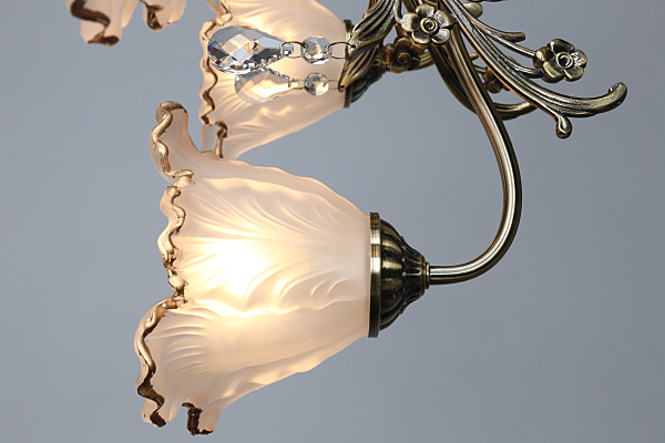 Потолочная люстра Petrara OML-54807-05