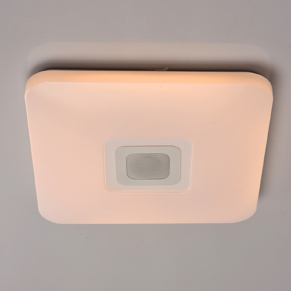 Светильник потолочный Норден 660012401