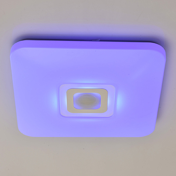 Светильник потолочный Норден 660012401