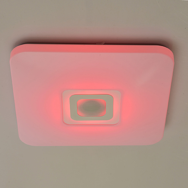 Светильник потолочный Норден 660012401