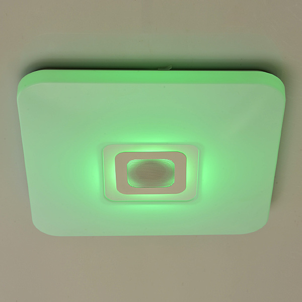 Светильник потолочный Норден 660012401