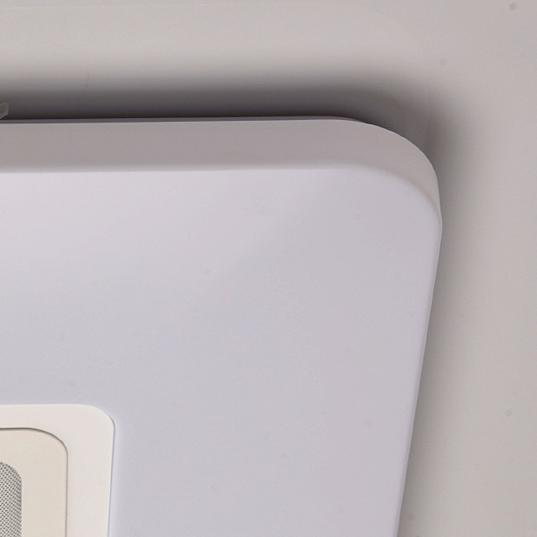 Светильник потолочный Норден 660012401