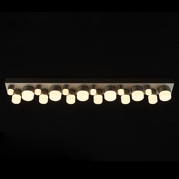 Светильник потолочный Морфей 710010118