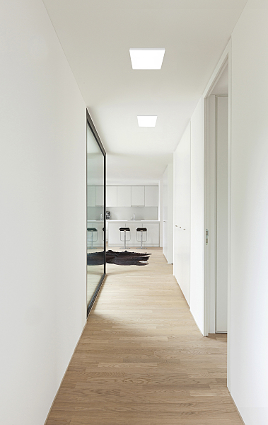 Светильник потолочный Flashled 2066-30C