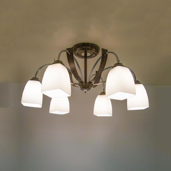 Потолочная люстра Крокус CL128161