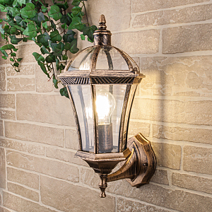 Настенно потолочный светильник Elektrostandart Capella черное золото