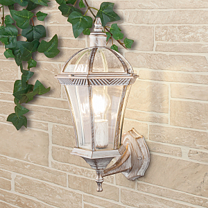 Настенно потолочный светильник Elektrostandart Capella белое золото