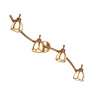 Подсветка Citilux Альтен CL522541