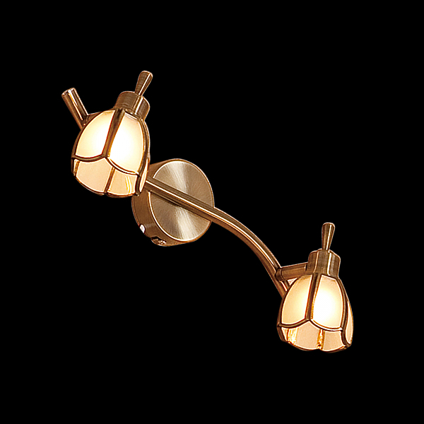 Подсветка Citilux Альтен CL522521