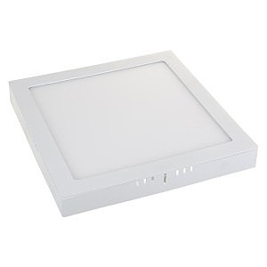 Светильник потолочный DLS020 DLS020 24W 4200K