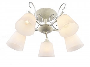 Потолочная люстра Bowi 1059/5C