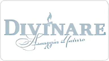 Логотип Divinare
